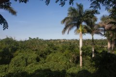 IMG_7699