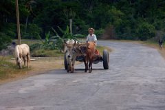 IMG_8111