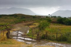 IMG_8140