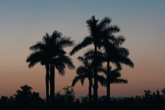 IMG_8272