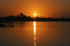 IMG_8280