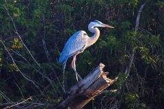 IMG_8309