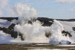 IMG_3162