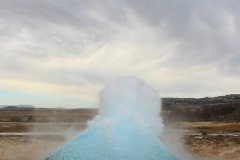 IMG_3303