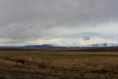 IMG_3344