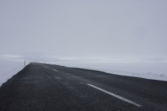 IMG_3724