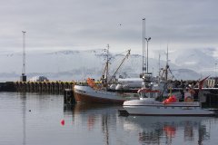 IMG_3753
