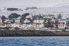 IMG_3779