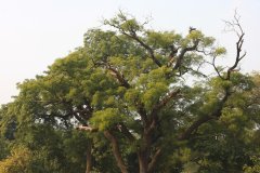 India, Agra