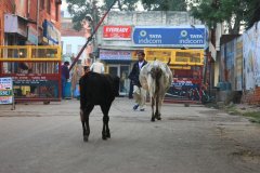 India, Agra