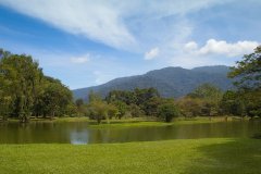 Taiping Lake Gardens,  Malaysia