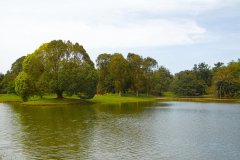 Taiping Lake Gardens,  Malaysia