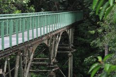 Rainforest Discovery Centre (RDC), Sabah, Malaysia