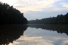 Kinabatangan River, Sabah (Borneo)