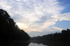 Kinabatangan River, Sabah (Borneo)