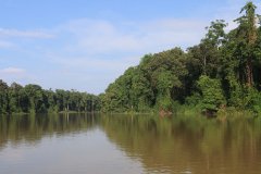 Kinabatangan River, Sabah, Borneo