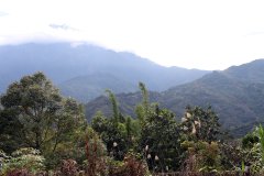 Kota Kinabalu,  Sabah, Malaysia