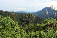 Kota Kinabalu,  Sabah, Malaysia