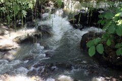 Kinabalu park, Kota Kinabalu,  Sabah, Malaysia