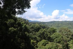 Kinabalu park, Kota Kinabalu,  Sabah, Malaysia