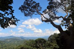 Kinabalu park, Kota Kinabalu,  Sabah, Malaysia