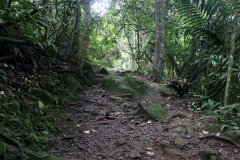 Kinabalu park, Kota Kinabalu,  Sabah, Malaysia