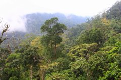 Genting Highlands,  Pahang, Malaysia