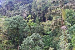 Genting Highlands,  Pahang, Malaysia