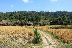 Chiang Mai, Thailand