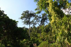 Chiang Mai, Thailand