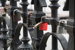 IMG_5553