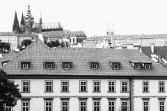 IMG_5583