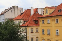 IMG_5594