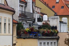 IMG_5597