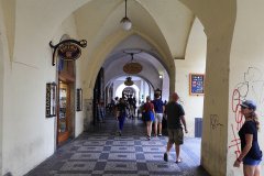 IMG_5600