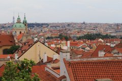 IMG_5608