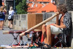 IMG_5783