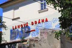 IMG_5862
