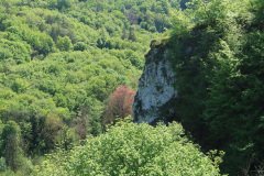 IMG_2150