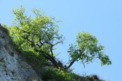 IMG_2200