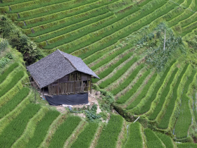 Longji Rice Terraces, Longsheng, China