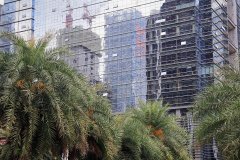 Shenzhen, (Guangdong), China