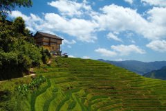 Longji Rice Terraces, Longsheng