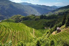 Longji Rice Terraces, Longsheng
