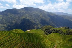 Longji Rice Terraces, Longsheng
