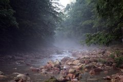 Zhangjiajie National Forest Park (Hunan), China