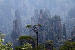 Zhangjiajie National Forest Park (Hunan), China