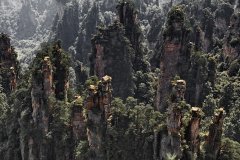 Zhangjiajie National Forest Park (Hunan), China