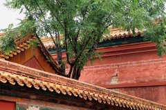 Forbidden City, Beijing, China