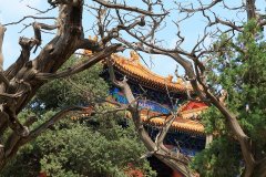 Temple of Confucius, Beijing, China
